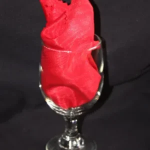 Glass Water Goblet 400h