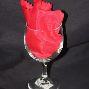 Glass Wine Short Stem OZ 400h